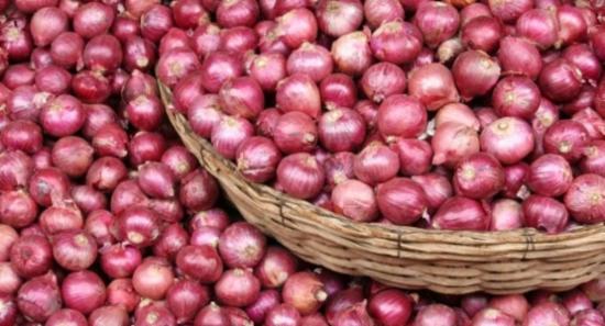 Permission granted to import 2,000MT of big onions